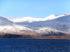 �n�C�����h