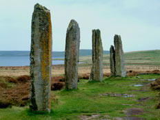 �I�[�N�j�[��